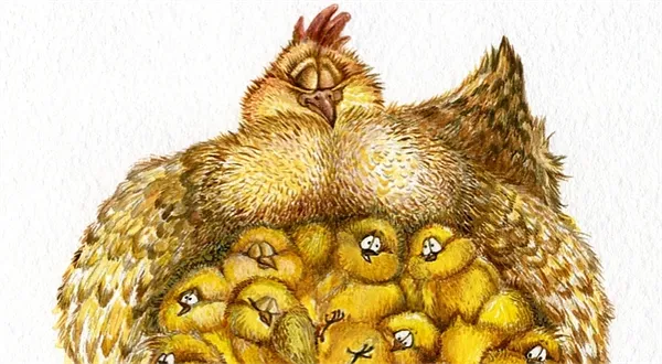 V peněžence pusto, doma hladové krky: Přídavek na dítě v roce 2015