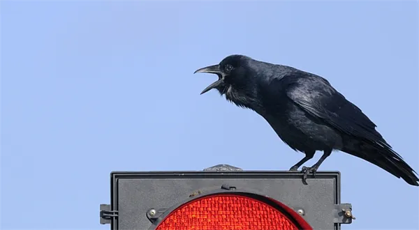 Daňové úlevy u životních pojistek nově: Pojišťovna dala klientům červenou