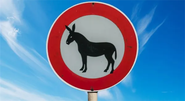 Zrušte dopravní značky, napáchají víc škody než užitku