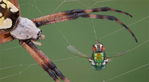 Lichva: Proč se dlužníci bojí