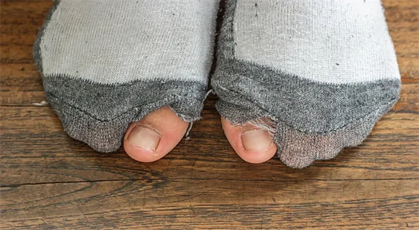 Příspěvek na živobytí 2016: Pravidla a kalkulačka