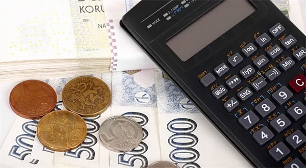 Daňové přiznání za rok 2015: Jak uplatnit výdaje. Pravidla a limity výdajových paušálů 