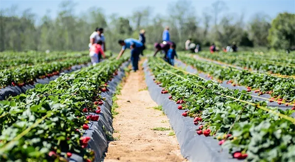 Pracoval jsem (i) v cizině: Jaký budete brát důchod