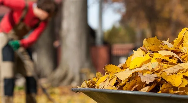 Za práci výplatu, ne dávky
