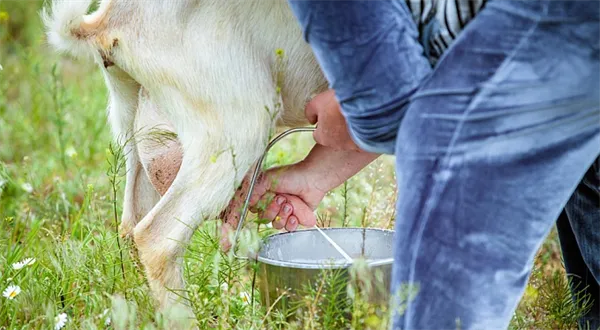 Dobrovolně skromný život 