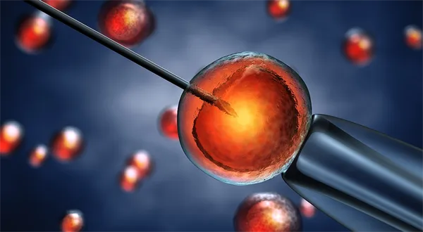 Konzervativní sociální inženýrství