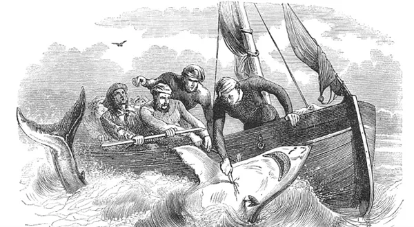 Čistka mezi poskytovateli půjček. Kdo přežil? Co se stalo s úvěrovými žraloky? 