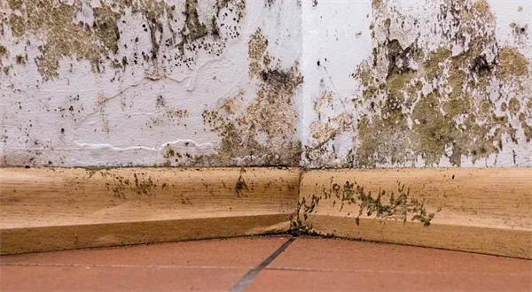 Obce omezí doplatek na bydlení: Konec migrace, začátek nové? 