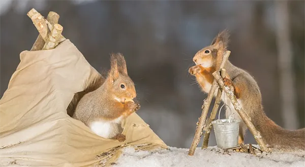 Doplatek na bydlení 2018. Kdo má nárok na pomoc od státu?