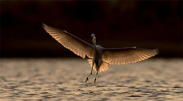 Před výběrem peněz z fondu si zajistěte měkké přistání