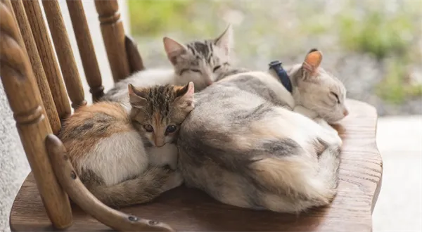 Kratší úvazky a sdílená místa: dva (a víc) na jedné židli 