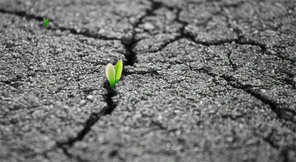 Home Credit zastavuje všechny exekuce z rozhodčích doložek