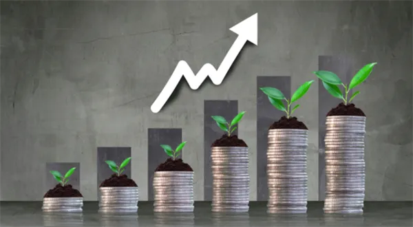 Kam s volnými penězi? Jak si vybrat podílový fond