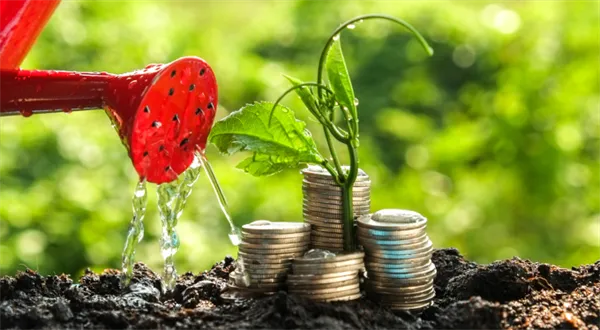 Investice pro začátečníky. Jak fungují podílové fondy a jak si vybrat