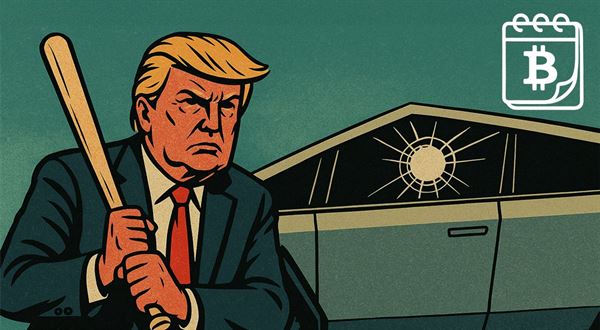 Donald a Elon už nejsou kamarádi. Odnesly to akcie Tesly i bitcoin
