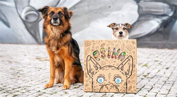 Dvě zlaté z Milána! Desková hra pro psy od Spokojeného psa bodovala na veletrhu