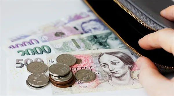 O 3000 korun víc než loni. Průměrná mzda přesahuje 48 tisíc