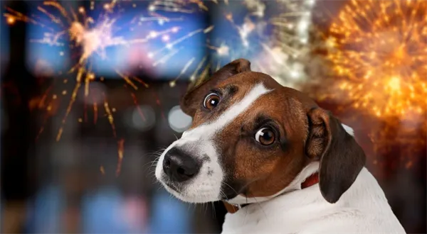 Kde si s ohňostrojem už neškrtnete. Přehled nových pravidel a mapa zákazů 