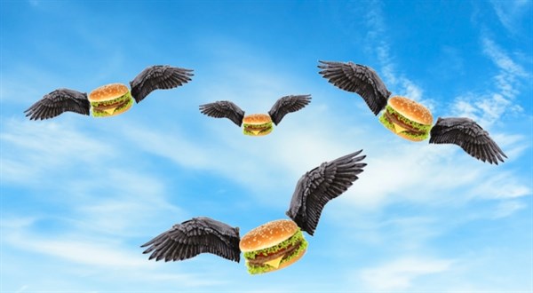 Co je medvědí a býčí trh a kdy přijde výplach. Slovníček investora