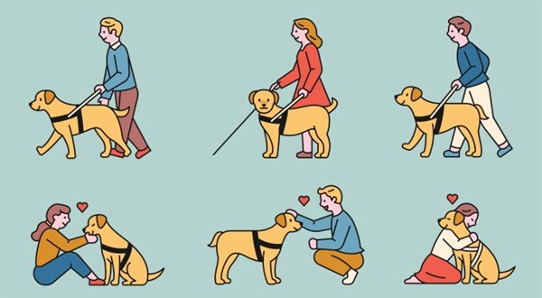 Příspěvek na mobilitu roste. Změny v dávkách pro postižené