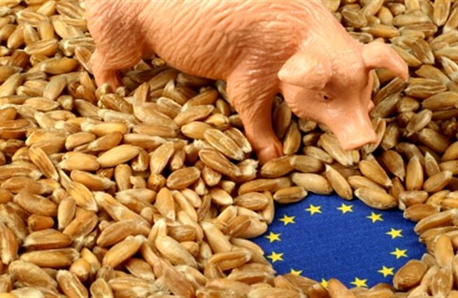 Zemědělská politika EU: Reformovat nebo zrušit?