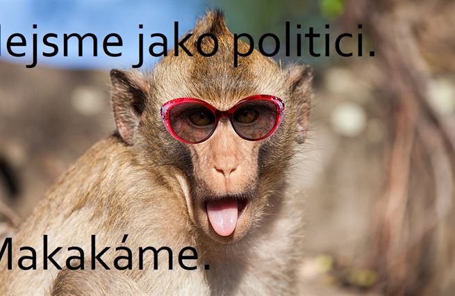 Když vám všechno hraje do karet, zvládne ministra financí i cvičená opice