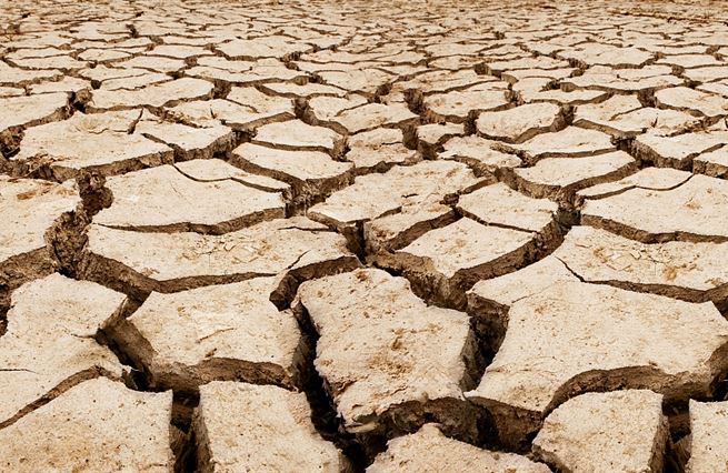 Boj proti změně klimatu prázdná břicha nenaplní