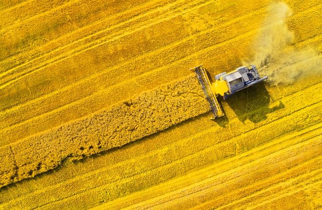 Babiš versus Unie. V kauze dotací pro Agrofert jde premiérovi o miliardy