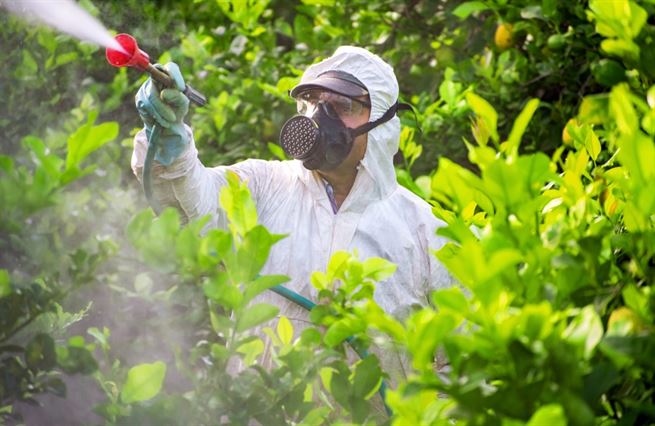 Pesticidy vynášejí, přesto jsou na odpis. Jaké alternativy řeší výrobci?