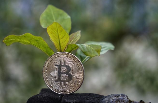 Bitcoin je stále zelenější. A bude stát deset milionů dolarů. Týden v kryptu #20