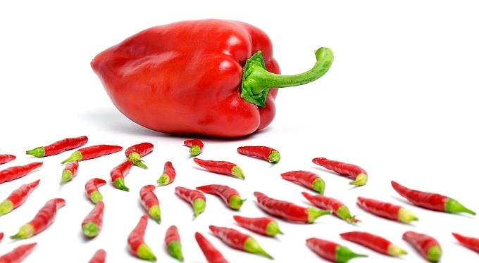 Online pujcka bez doložení príjmu zbýšová image 7