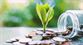 Dotace Nová zelená úsporám 2030: S čím vám pomůže a jak o ni zažádat